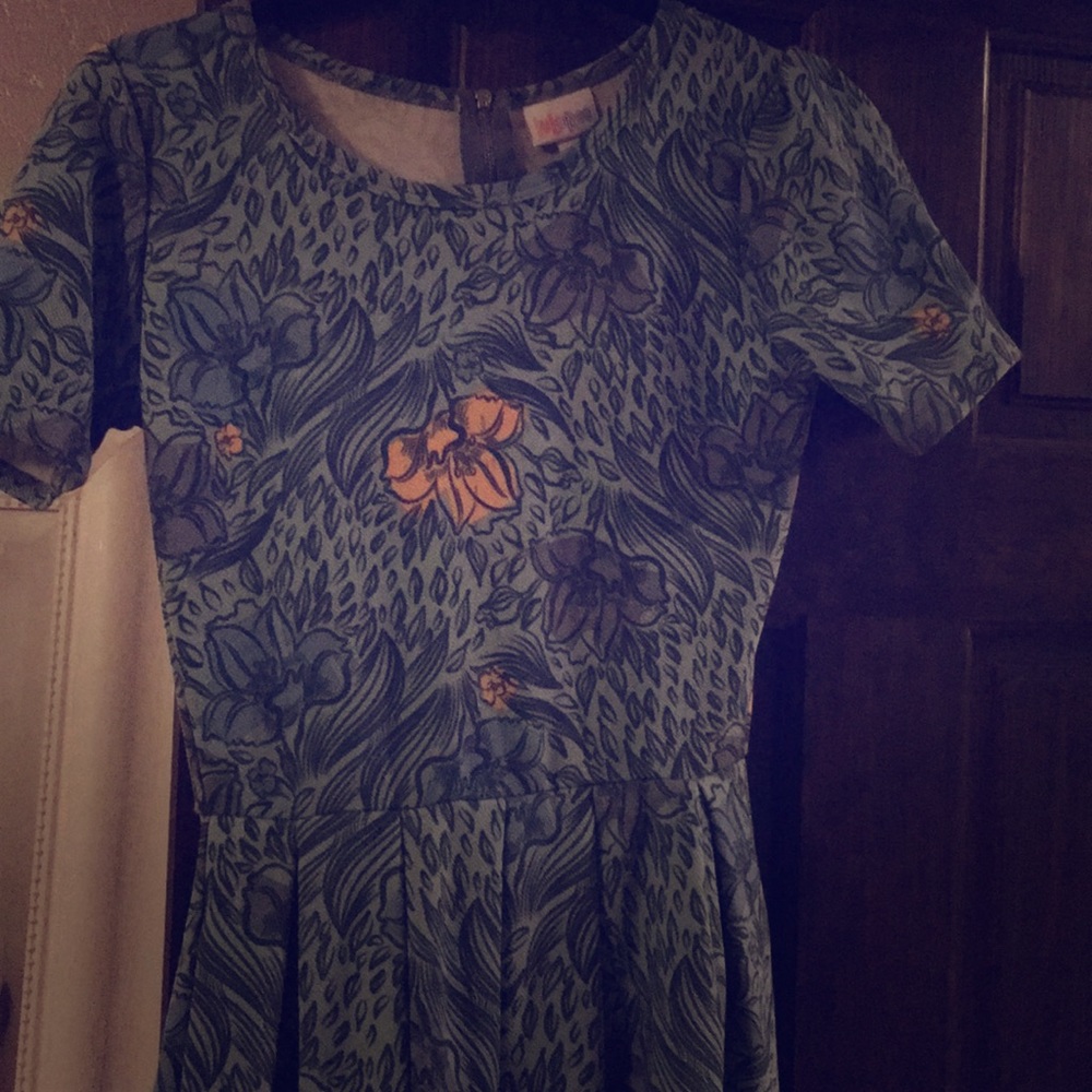 Lularoe Amelia